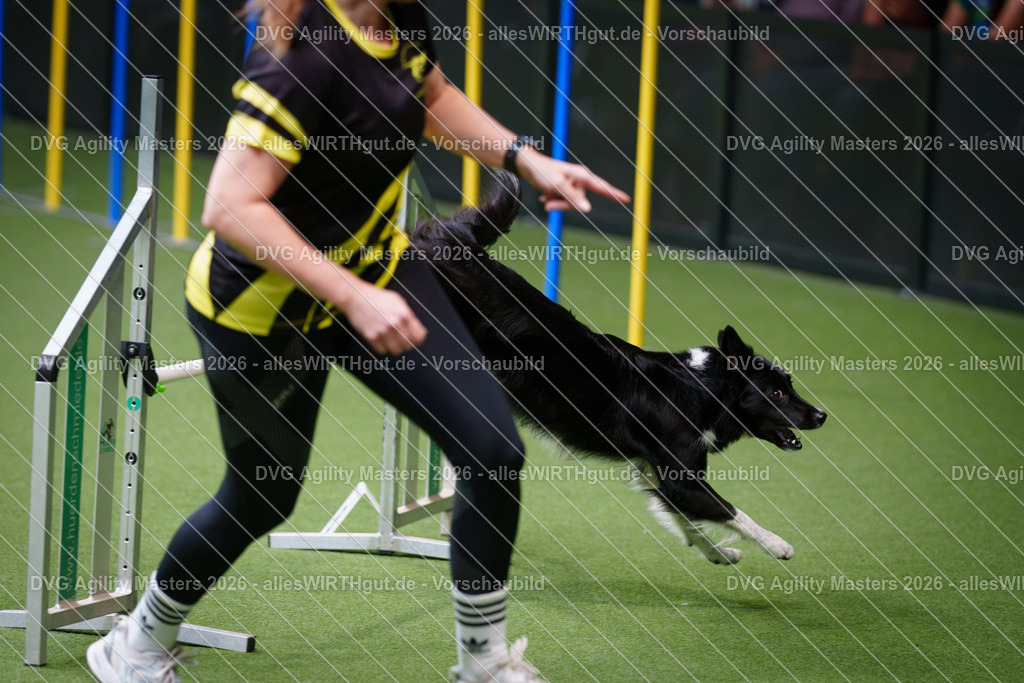 allesWIRTHgut_Tierfotografie-DVG_Agility_Masters_2026-10_19-7R503451 | Professionelle Tierfotografie in Mönchengladbach von Daniel Wirth (allesWIRTHgut). Liebevolle & natürliche Bilder von Hunden & Katzen für unvergessliche Erinnerungen.