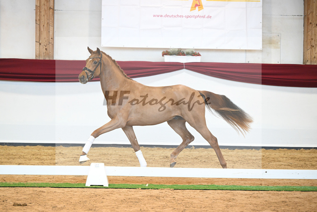 Kat-Nr. 52 v. Vaderland_Galneder_66220758 | hf-fotografie - Realisiert mit Pictrs.com