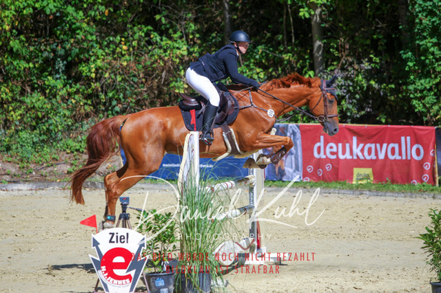 DKP43189 | Turniersportfotografie; Pferdefotografie; Dressurfotografie