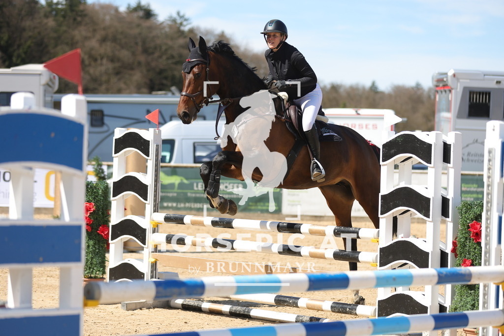 0P6A8139 | Willkommen bei Brunnmayr - Design & Fotografie – Ihrem Spezialisten für Reitturniere und Pferdeveranstaltungen in Oberösterreich, Salzburg und Bayern! Seit über 17 Jahren sind wir leidenschaftlich dabei.