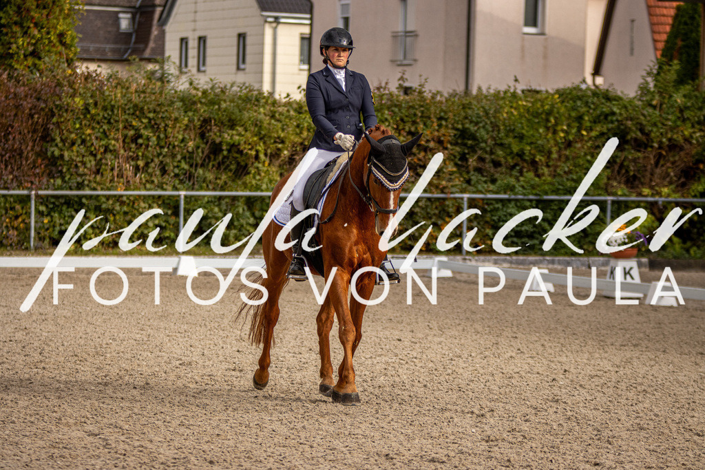 IMG_4282 | Erleben Sie dynamische Sport- und emotionale Tierfotografie in Süddeutschland mit Fotos von Paula. Spezialisiert auf Pferde- und Hundefotografie sowie Sportevents. Kontaktieren Sie mich für einzigartige und ausdrucksstarke Bilder Ihrer besonderen Momente.