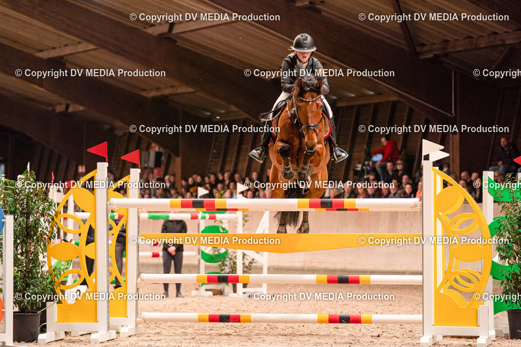 Springen Tag 3-529 | dv-media-shop - Realisiert mit Pictrs.com