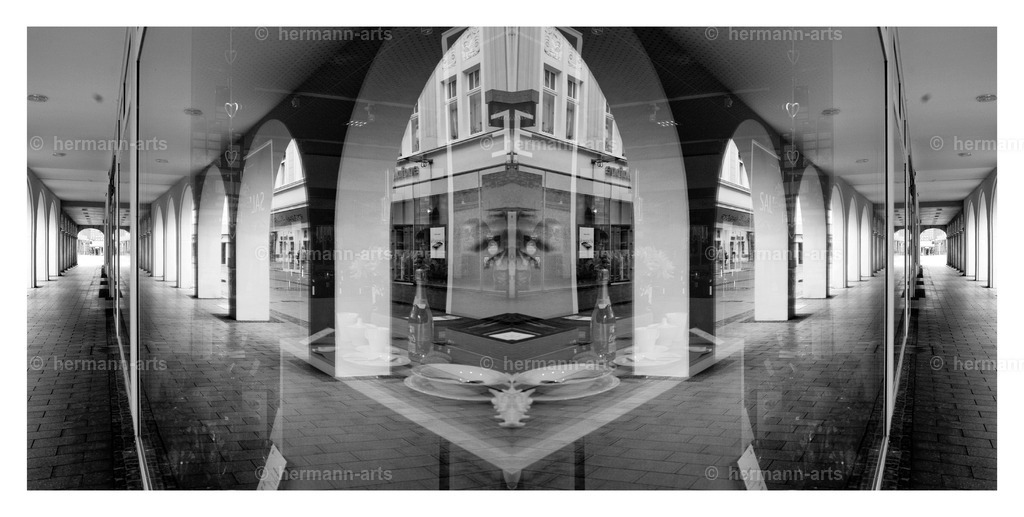 Hermann-Arts_Spiegelbilder_068 | Photo Foto Kunst Art schwarzweiss Bilder Rheine Münster Berlin Blumen 