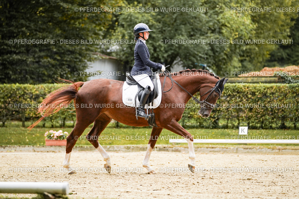 DSC06960 | Pferdegrafie