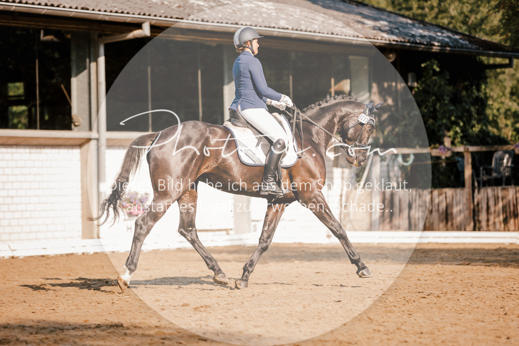 3I6A8548 | Stimmungsvolle Portraits und Reitsportfotografie im Ruhrgebiet und im Münsterland.

Pferdefotografie, Hundefotografie, Tierfotografie, Reportagen, Portraits von Tier und Mensch, Turnierfotografie in Bochum, Recklinghausen, Marl, Haltern am See, Dülmen.. - Realisiert mit Pictrs.com