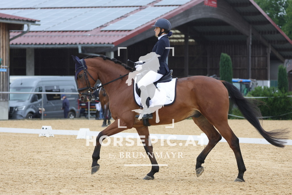 0P6A9691 | Willkommen bei Brunnmayr - Design & Fotografie – Ihrem Spezialisten für Reitturniere und Pferdeveranstaltungen in Oberösterreich, Salzburg und Bayern! Seit über 17 Jahren sind wir leidenschaftlich dabei.