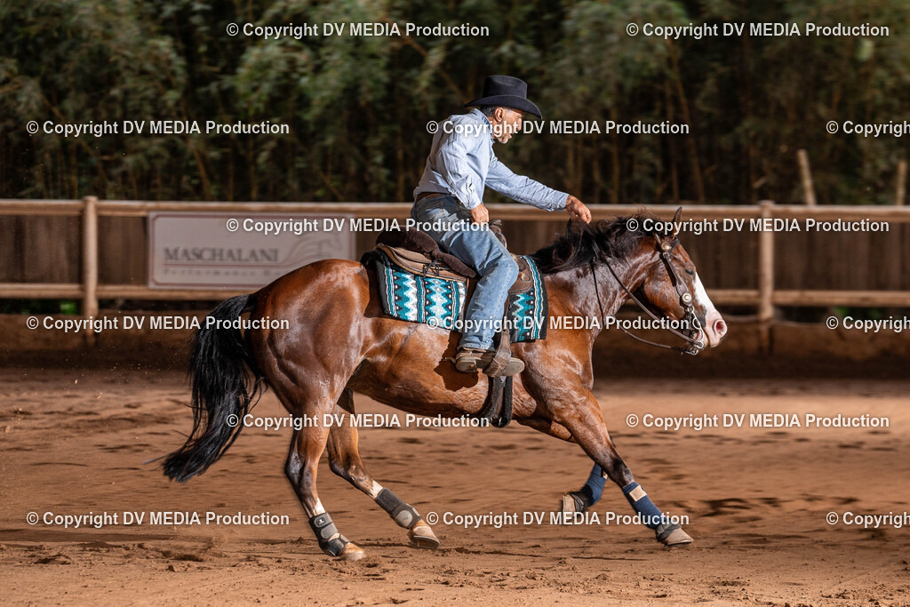 Erbach Tag 2-1283 | dv-media-shop - Realisiert mit Pictrs.com