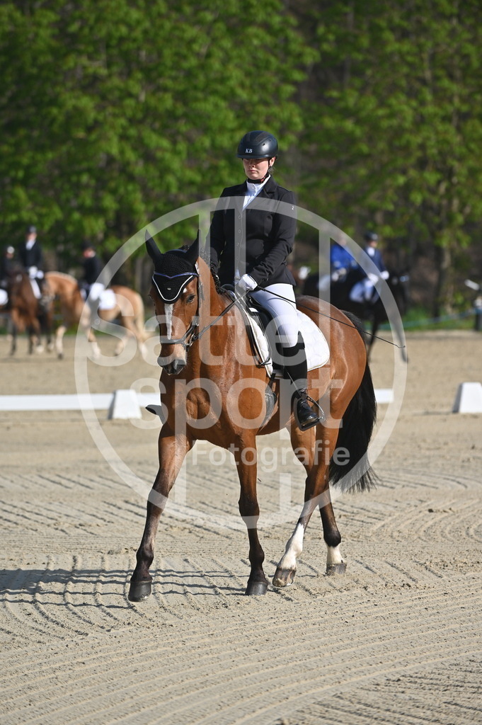 DSC_9956 | sattelsport - Realisiert mit Pictrs.com