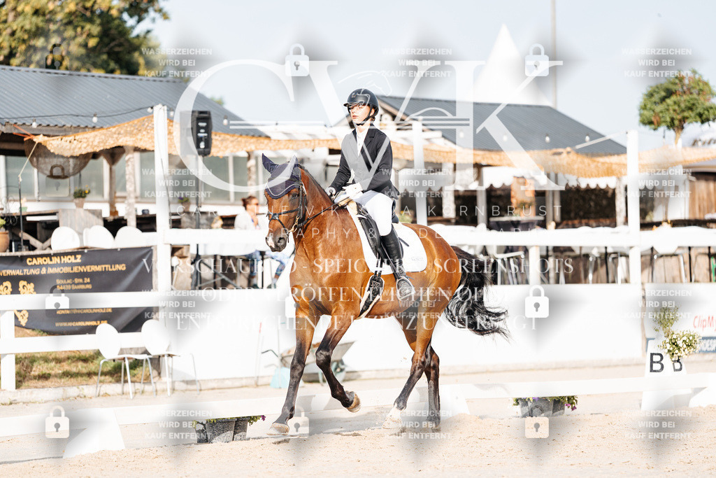 CK904087 | Turnierfotografie Pferdefotografie Trier Rheinland-Pfalz Pferdesport Reitsport Tierfotografie Sportfotografie Pferdevideo Pferdevideografie Equestrianvideography equestrianphotography  - Realisiert mit Pictrs.com