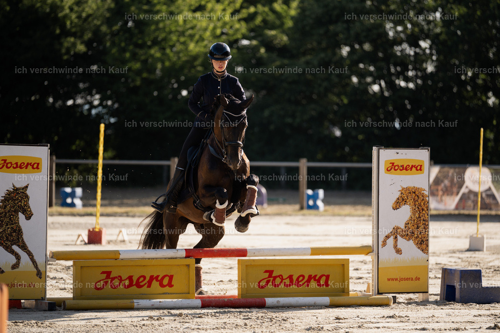 WM_ST_48_stoibphotography__SO10154 | working equitationturnier fotograf videograf stoibphotography marixx film working equitation deutschland reitsport turnierfotografie eventfotografie equestrian events