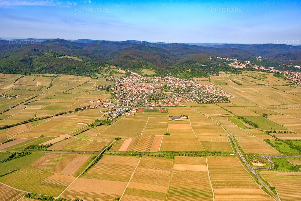 Luftbild: Stadtansicht aus Osten in Wachenheim an der Weinstraße im Bundesland Rheinland-Pfalz in Deutschland. Foto: IMG_078769.jpg vom 13.05.2015 durch Werner Riehm/FLY-FOTO.de