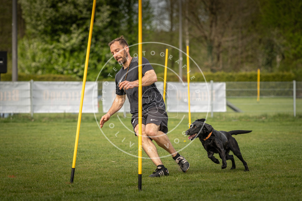 Pfotenfotografie_DV3A5557 | Hundefotografie, Tierfotograf, Pfotenfotografie, Fotoshooting Hund, Hunde Portrait, Hundesport, Hundeportraits, Heideshooting, Hunde, Sportfotograf, Hundefotograf, Turnierhundsport, THS,  - Realisiert mit Pictrs.com
