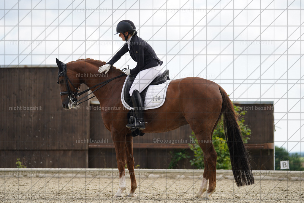 20230826-FAH06175 | Forstinning, 2023, Dressurturnier, Turniersportbilder, Turnierfotografen Bayern, Fotoagentur Herrmann, Reitsportfotografie, Turnierbilder