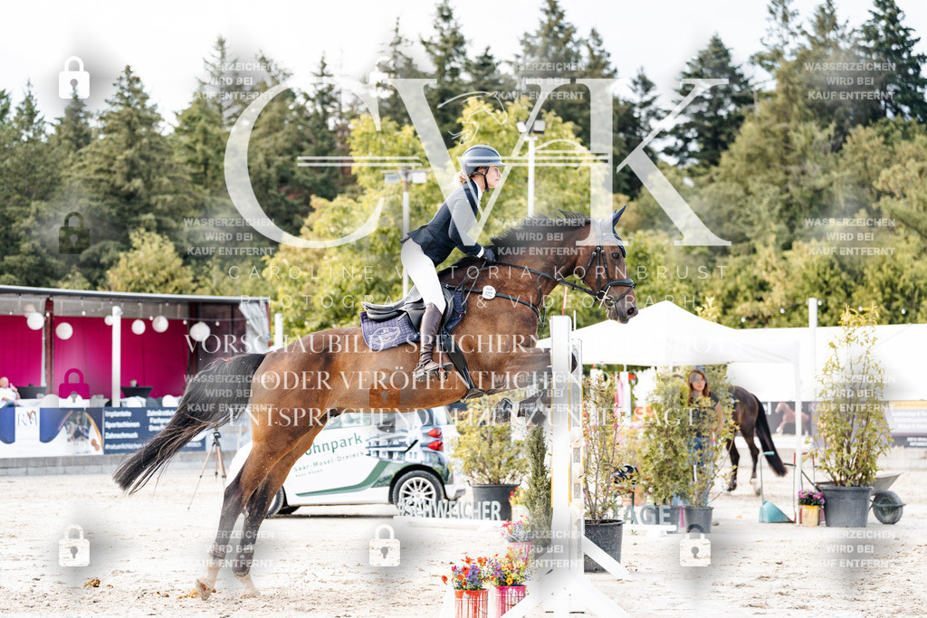 CK903672 | Turnierfotografie Pferdefotografie Trier Rheinland-Pfalz Pferdesport Reitsport Tierfotografie Sportfotografie Pferdevideo Pferdevideografie Equestrianvideography equestrianphotography  - Realisiert mit Pictrs.com