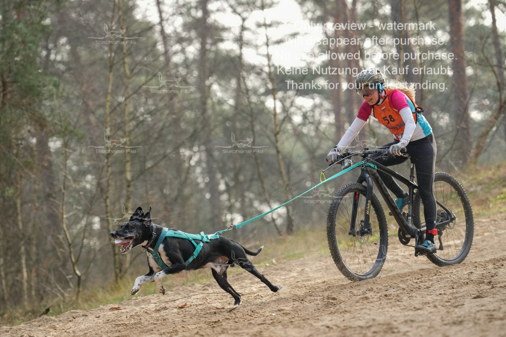 Bike1-84 | stephaniefillaphotographie - Realisiert mit Pictrs.com