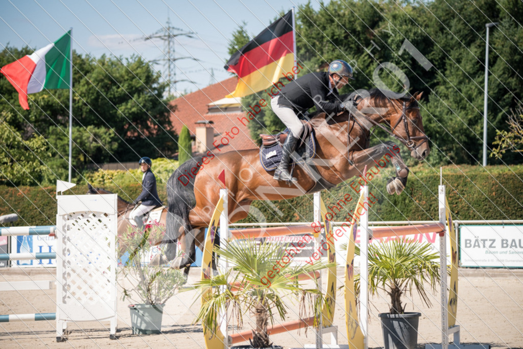 DSC_3240 | Sport-, Event- und Tierfotos in Profiqualität. Einfach auswählen, bestellen und herunterladen. Dein Moment – perfekt festgehalten.