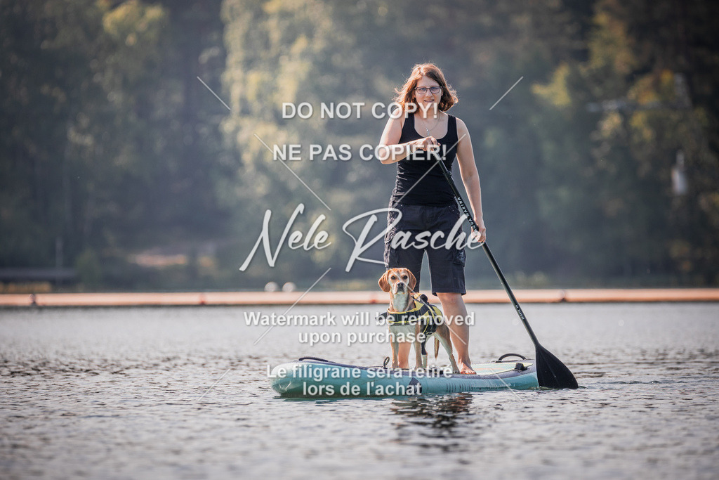 BUHU_SUP_247 | nelerasche