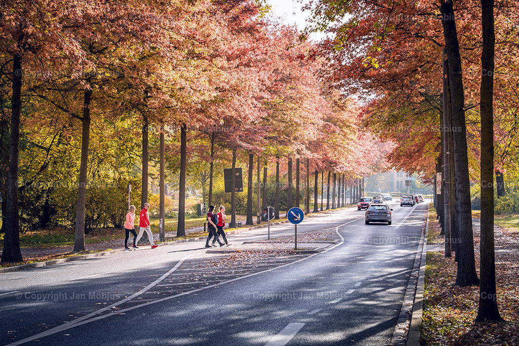 _DSC8059 | Leipzig Wandbilder Drucke Prints Leinwand Stadtmotive Leipzig Fotosdruck Kunstdrucke Bilder Leipzig Stadtansichten Acrylglasbilder Leipzig Wanddeko Fine Art Prints Wandbilder Büro Leipzig Bilder Praxis Zuhause Bilderdruck Poster Posterlounge Kunstdrucke - Realisiert mit Pictrs.com