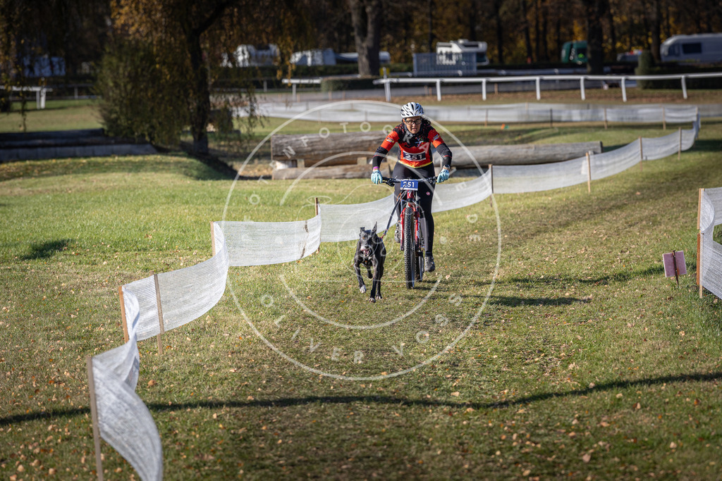 CaniXpix_DV3A4577 | Hundefotografie, Tierfotograf, Pfotenfotografie, Fotoshooting Hund, Hunde Portrait, Hundesport, Hundeportraits, Heideshooting, Hunde, Sportfotograf, Hundefotograf, Turnierhundsport, THS,  - Realisiert mit Pictrs.com