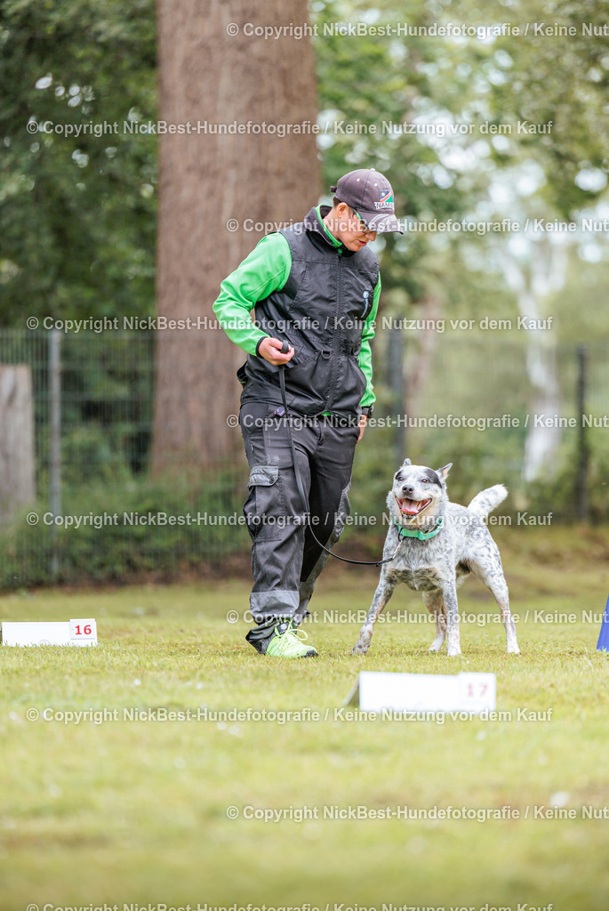 RO-Blumenthal-2026-Nickbest-Hundefotografie-5391 | Dein Hund! Dein Moment! Deine Erinnerungen! Hundefotografie in Bremen Blumenthal. Ich fange die besonderen Momente deines Vierbeiners ein – ob Indoor mit Blitzanlage oder in der freien Natur. Sicher dir dein Moment und dein Termin für eure Erinnerungen.