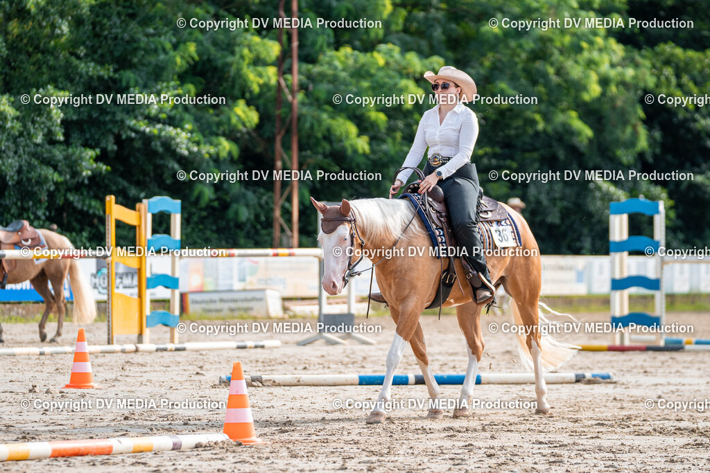 Zeiskam Tag 3-100 | dv-media-shop - Realisiert mit Pictrs.com