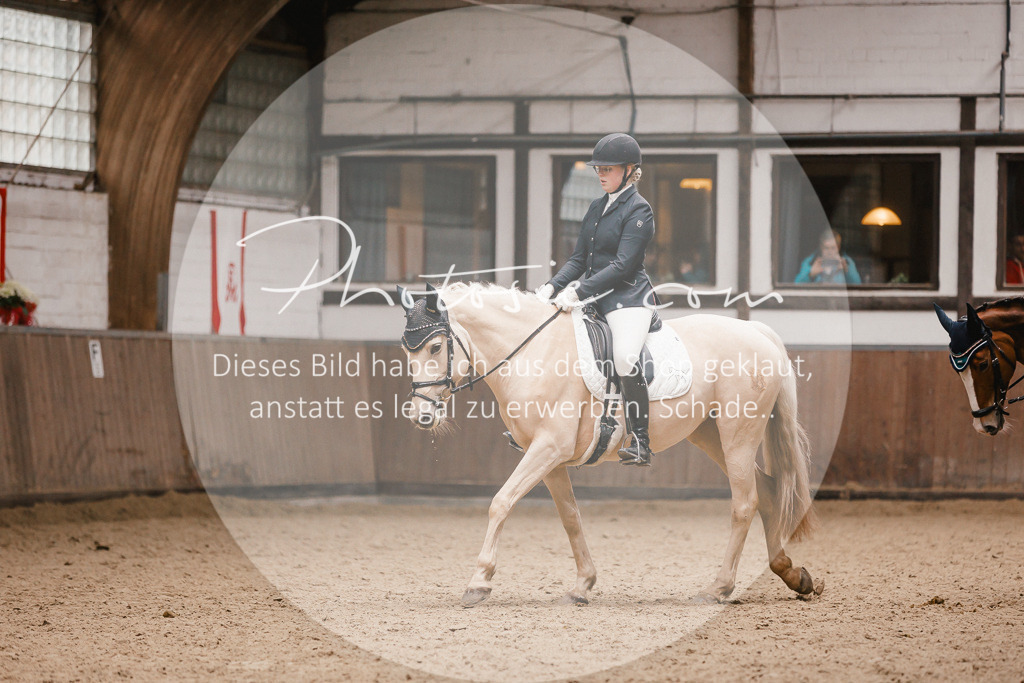 3I6A7857 | Stimmungsvolle Portraits und Reitsportfotografie im Ruhrgebiet und im Münsterland.

Pferdefotografie, Hundefotografie, Tierfotografie, Reportagen, Portraits von Tier und Mensch, Turnierfotografie in Bochum, Recklinghausen, Marl, Haltern am See, Dülmen.. - Realisiert mit Pictrs.com