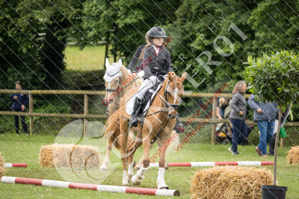 IMG_1845 | Sport-, Event- und Tierfotos in Profiqualität. Einfach auswählen, bestellen und herunterladen. Dein Moment – perfekt festgehalten.