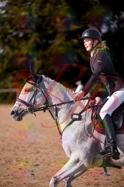 2026_10_03_Siefer-Hof_155204_Z81_71861252 | Professionelle Reitsport-, Turnier- und Eventfotografie von Robert Broda. Galerien mit ausgewählten und bearbeiteten Bildern direkt online ansehen und bestellen.