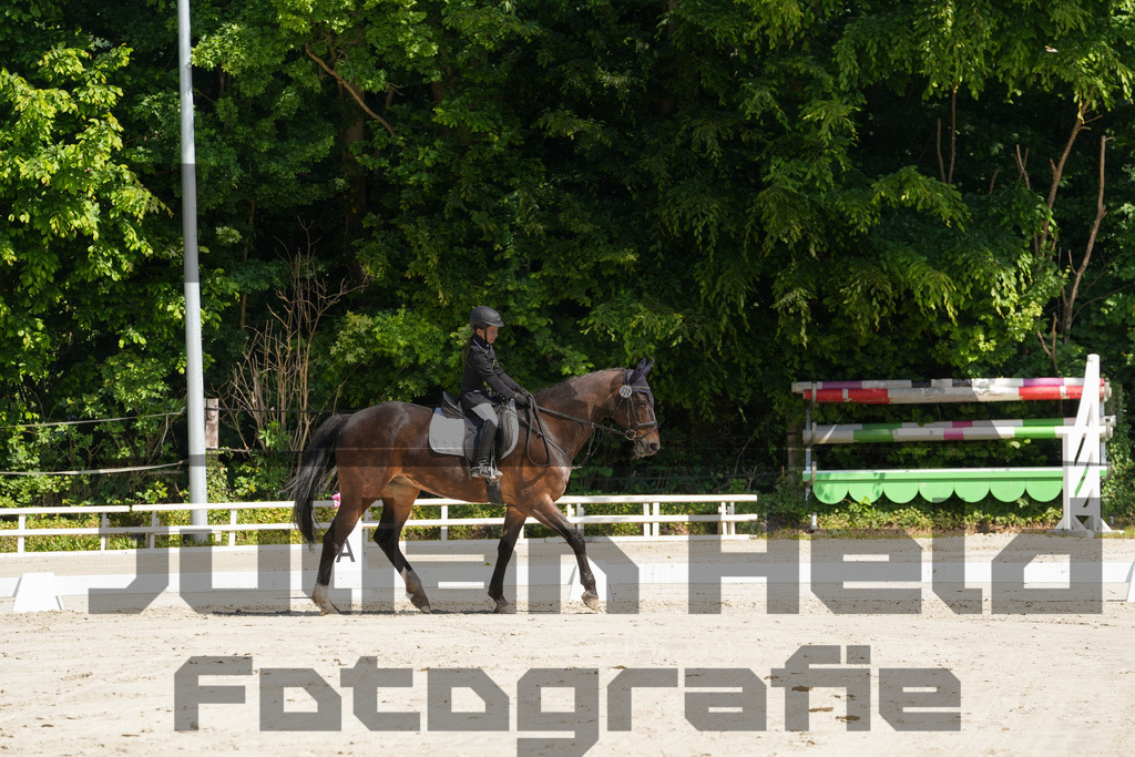 DSC03187 | Julian Held Fotografie - Realisiert mit Pictrs.com