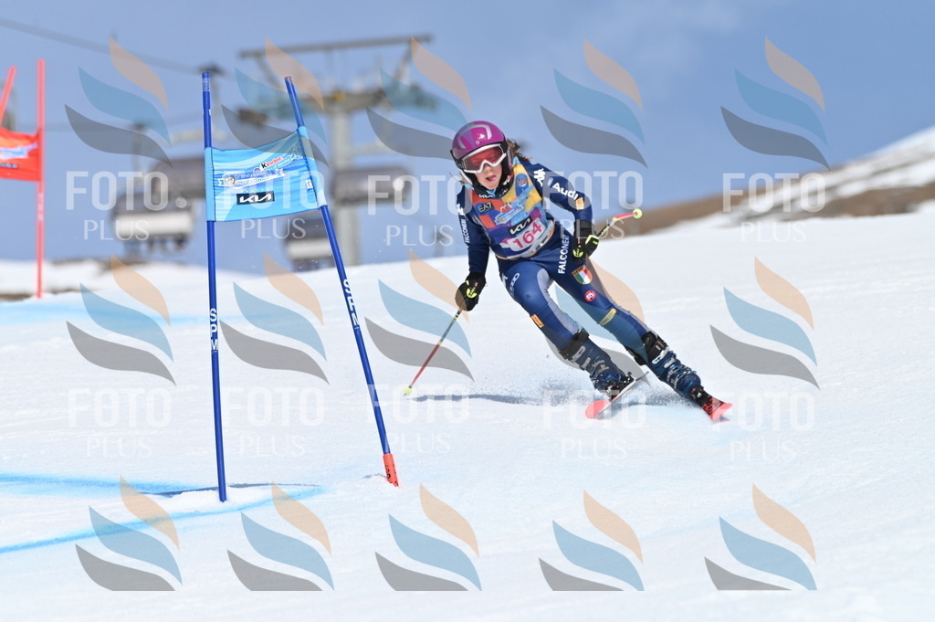 BGV_0334 | holidayphoto