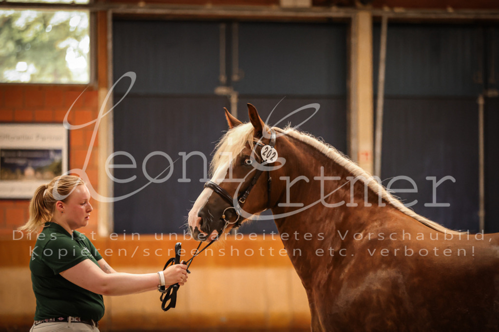 SaFL00450 | Leoni Ertmer Photography - Realisiert mit Pictrs.com