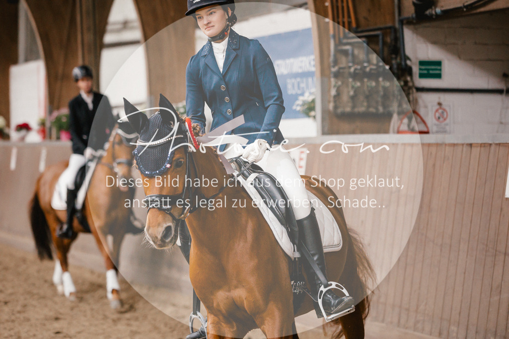 3I6A8032 | Stimmungsvolle Portraits und Reitsportfotografie im Ruhrgebiet und im Münsterland.

Pferdefotografie, Hundefotografie, Tierfotografie, Reportagen, Portraits von Tier und Mensch, Turnierfotografie in Bochum, Recklinghausen, Marl, Haltern am See, Dülmen.. - Realisiert mit Pictrs.com