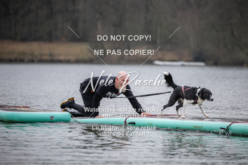 nelerasche_Hulsbeek_Sa1515-1600_244 | nelerasche