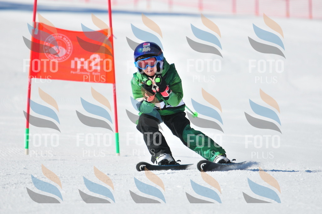 C2925 | holidayphoto