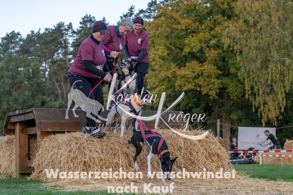 0827_ZZ90751 | kk-dogfotos