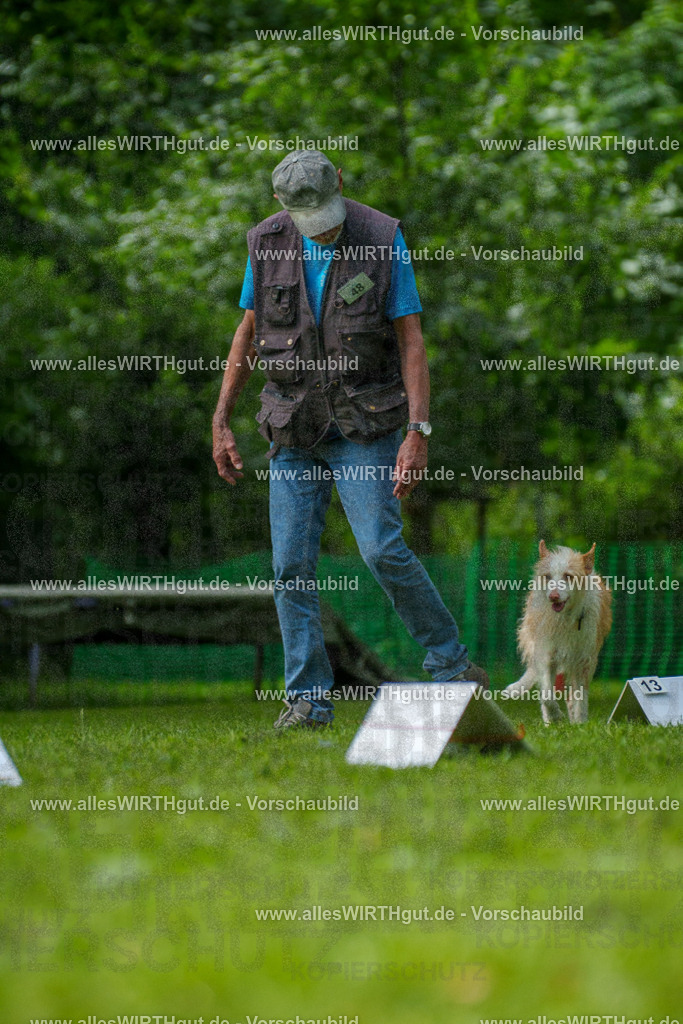 @allesWIRTHgut_Tierfotografie - www.allesWIRTHgut.de - 7R505582 | Professionelle Tierfotografie in Mönchengladbach von Daniel Wirth (allesWIRTHgut). Liebevolle & natürliche Bilder von Hunden & Katzen für unvergessliche Erinnerungen.