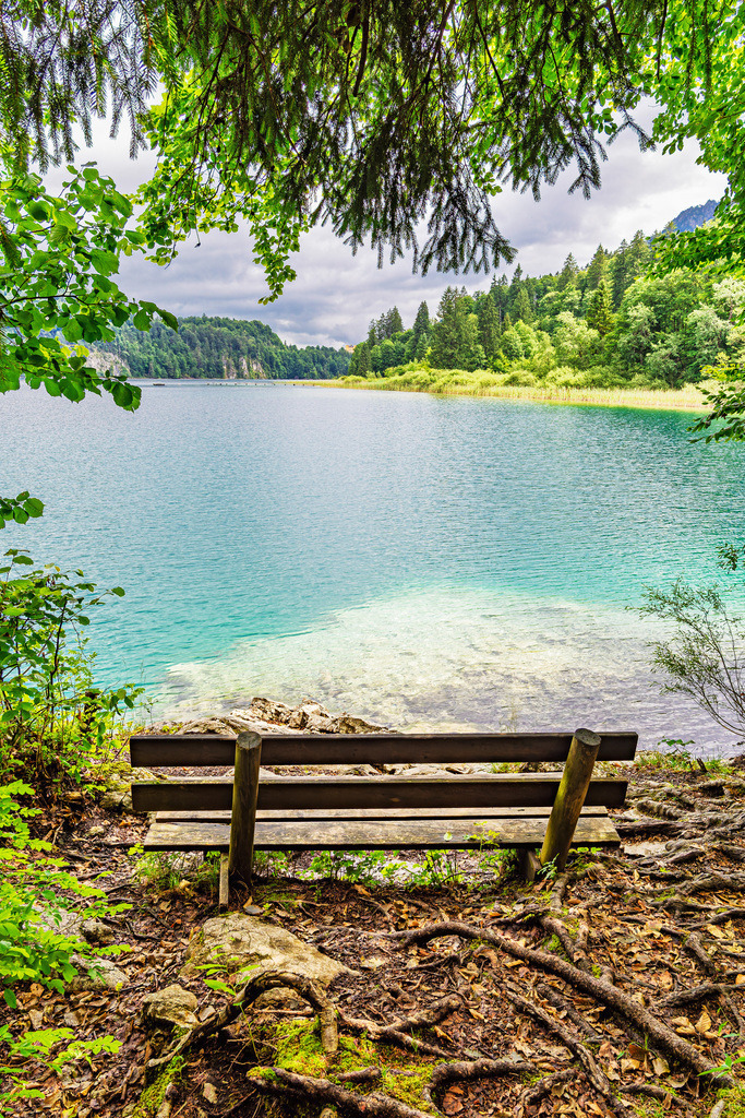 Blick über den Alpsee mit Sitzbank im Allgäu in Bayern | Blick über den Alpsee mit Sitzbank im Allgäu in Bayern.