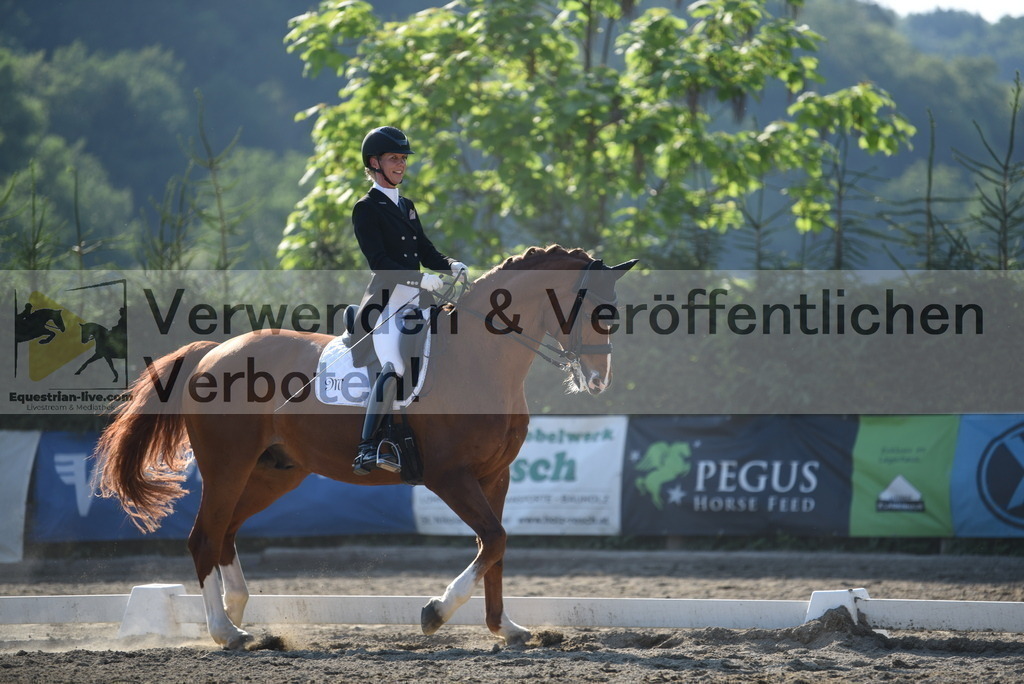 DSC_3186 | equestrian-live-com
