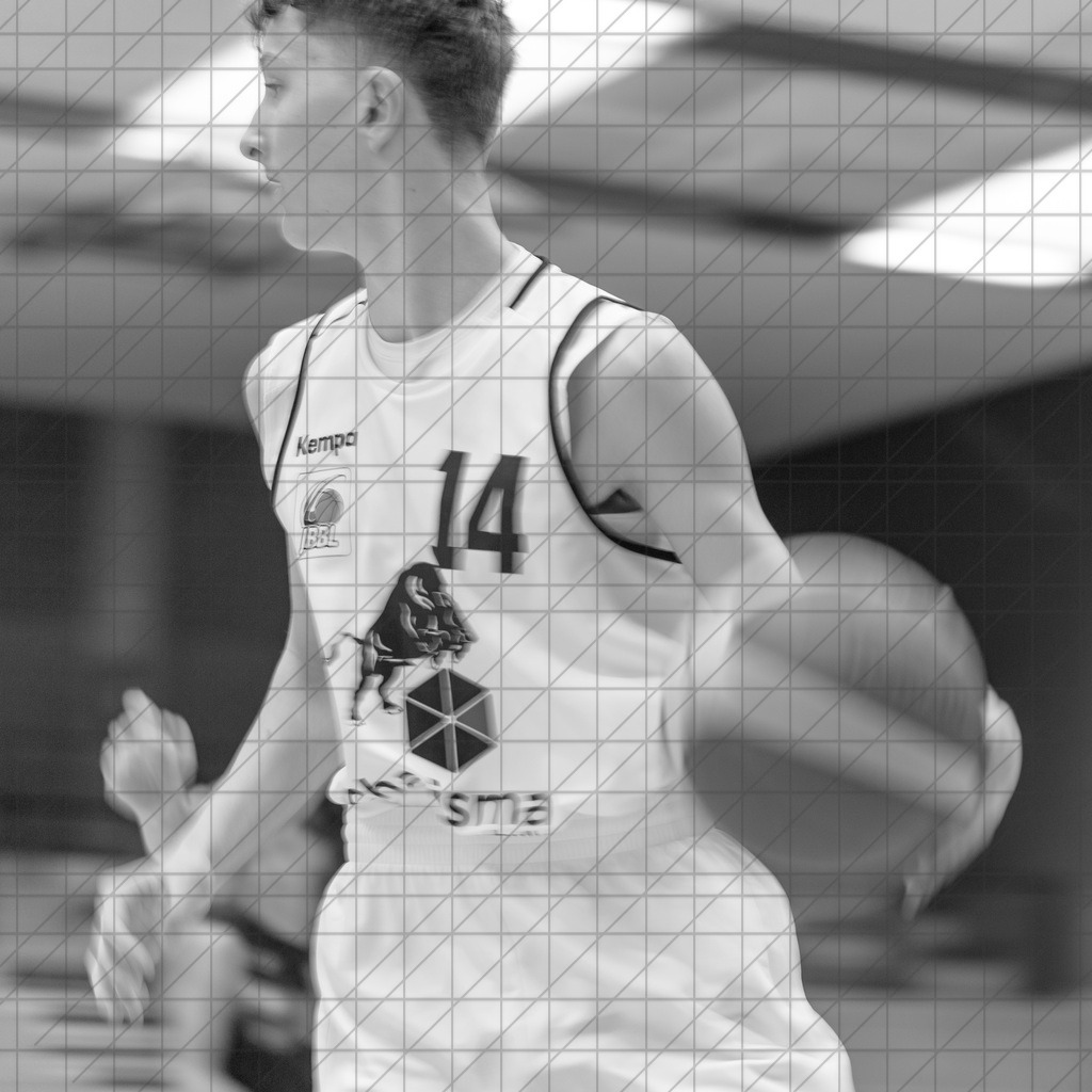 JBBL 24/25 | 26.01.2025 | Charisma Young Bulls vs. Gartenzaun24 Baskets Paderborn | JBBL 24/25 | 26.01.2025 | Charisma Young Bulls vs. Gartenzaun24 Baskets Paderborn - - - - - CREDIT, www.bullenfotos.de, Martin König, Hörner Weg 40, D-49078 Osnabrück, +4917663732967, Nutzung und Weitergabe nur zu den vereinbarten Zwecken. Presseanfragen an Urheber. Alle Rechte beim Urheber. - - - - - - Realisiert mit Pictrs.com
