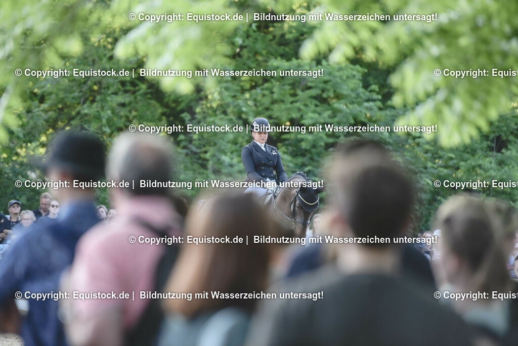 TP5_1730 | equistock