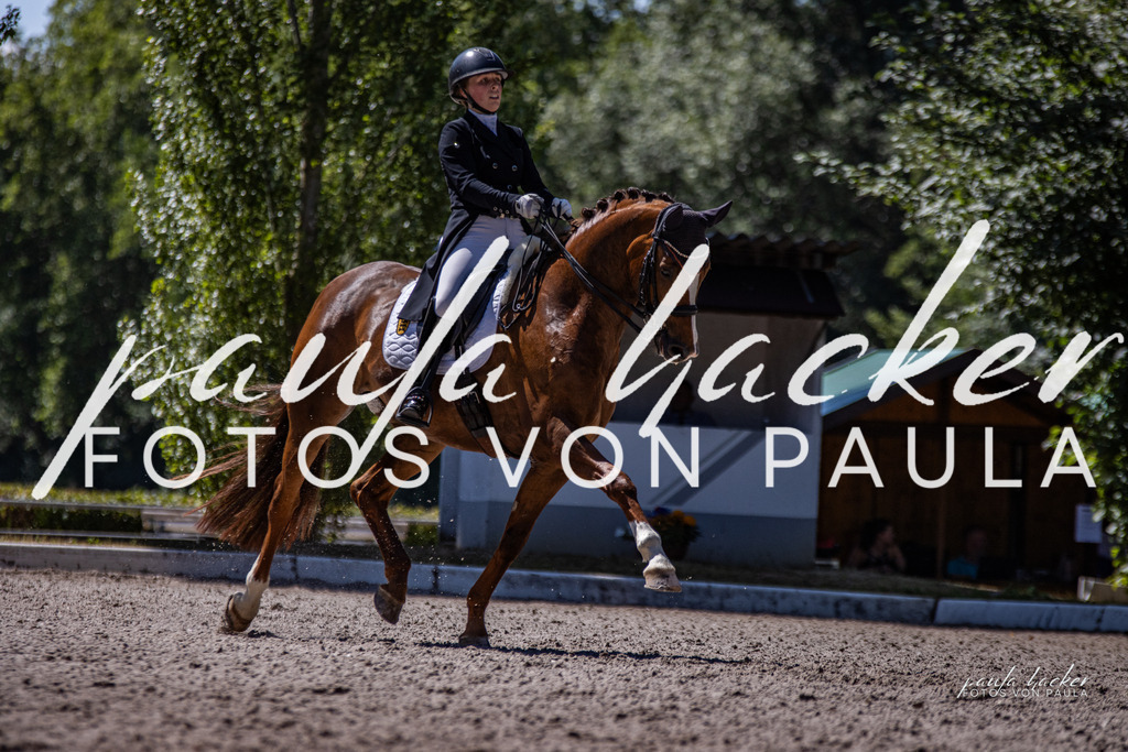 IMG_8547 | Erleben Sie dynamische Sport- und emotionale Tierfotografie in Süddeutschland mit Fotos von Paula. Spezialisiert auf Pferde- und Hundefotografie sowie Sportevents. Kontaktieren Sie mich für einzigartige und ausdrucksstarke Bilder Ihrer besonderen Momente. - Realisiert mit Pictrs.com