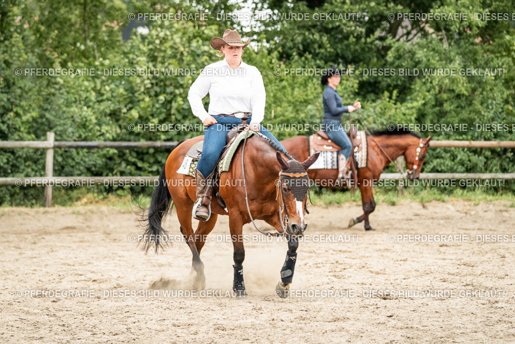 DSC04360 | Pferdegrafie