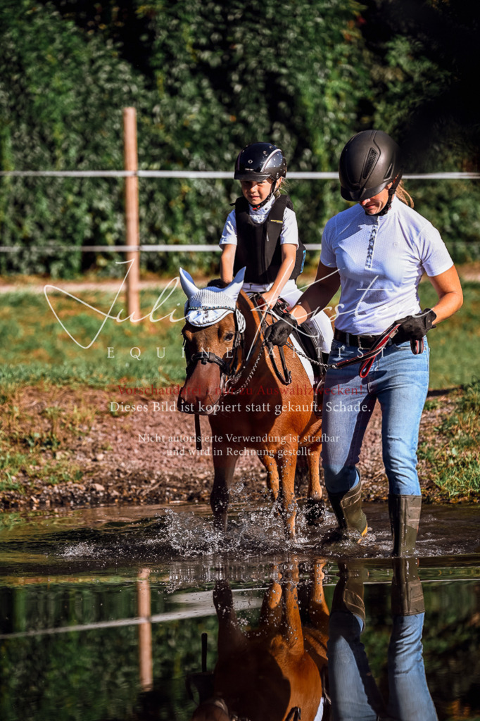 DSC_0483 | Pferde- und Turnierfotografie in Westsachsen. Pferdeportraits, Auftragszeichnungen und intuitive Kunst.