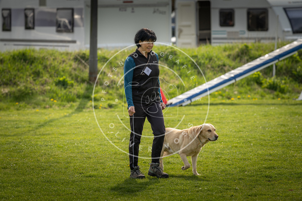 Pfotenfotografie_DV3A4991 | Hundefotografie, Tierfotograf, Pfotenfotografie, Fotoshooting Hund, Hunde Portrait, Hundesport, Hundeportraits, Heideshooting, Hunde, Sportfotograf, Hundefotograf, Turnierhundsport, THS,  - Realisiert mit Pictrs.com