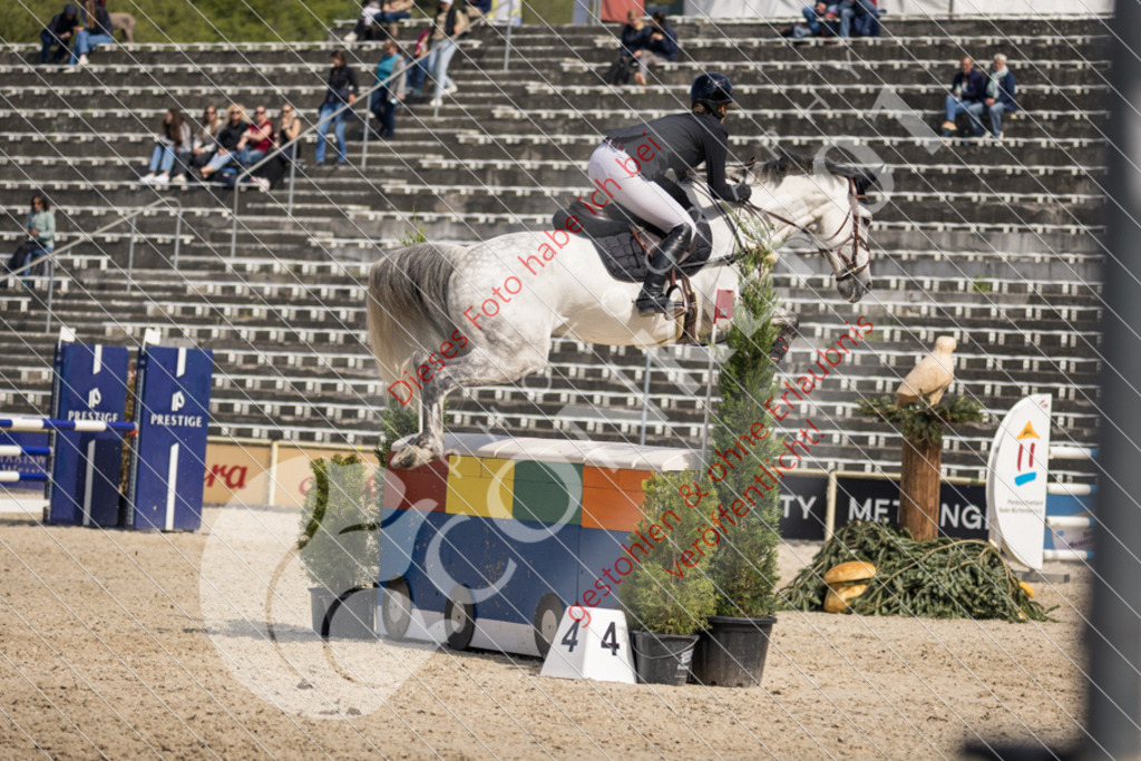 IMG_4481 | Sport-, Event- und Tierfotos in Profiqualität. Einfach auswählen, bestellen und herunterladen. Dein Moment – perfekt festgehalten.