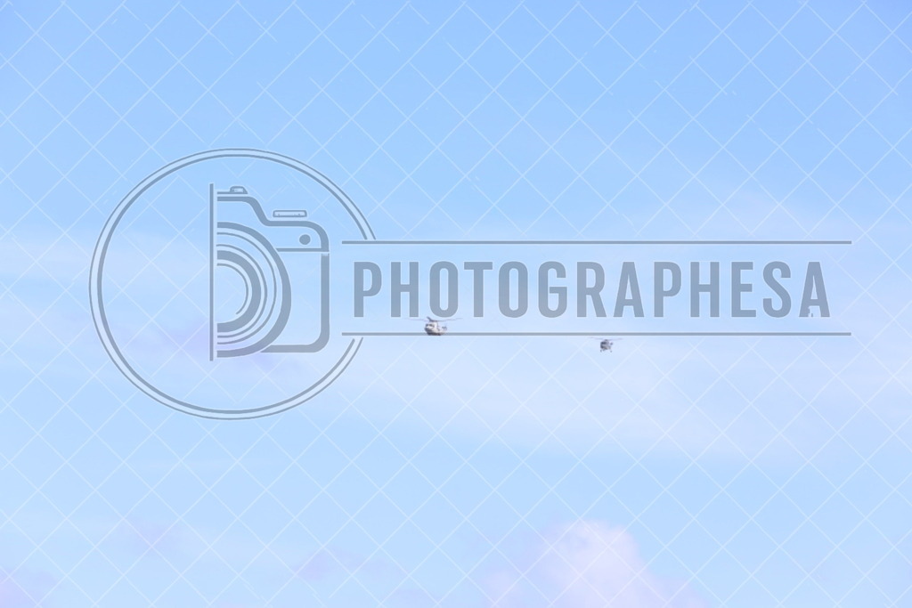 IMG_8824 | photographesa-joergens - Realisiert mit Pictrs.com