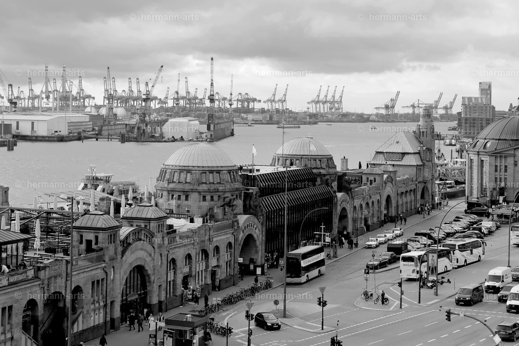 Hamurg_Arts-039 | Photo Foto Kunst Art schwarzweiss Bilder Rheine Münster Berlin Blumen 