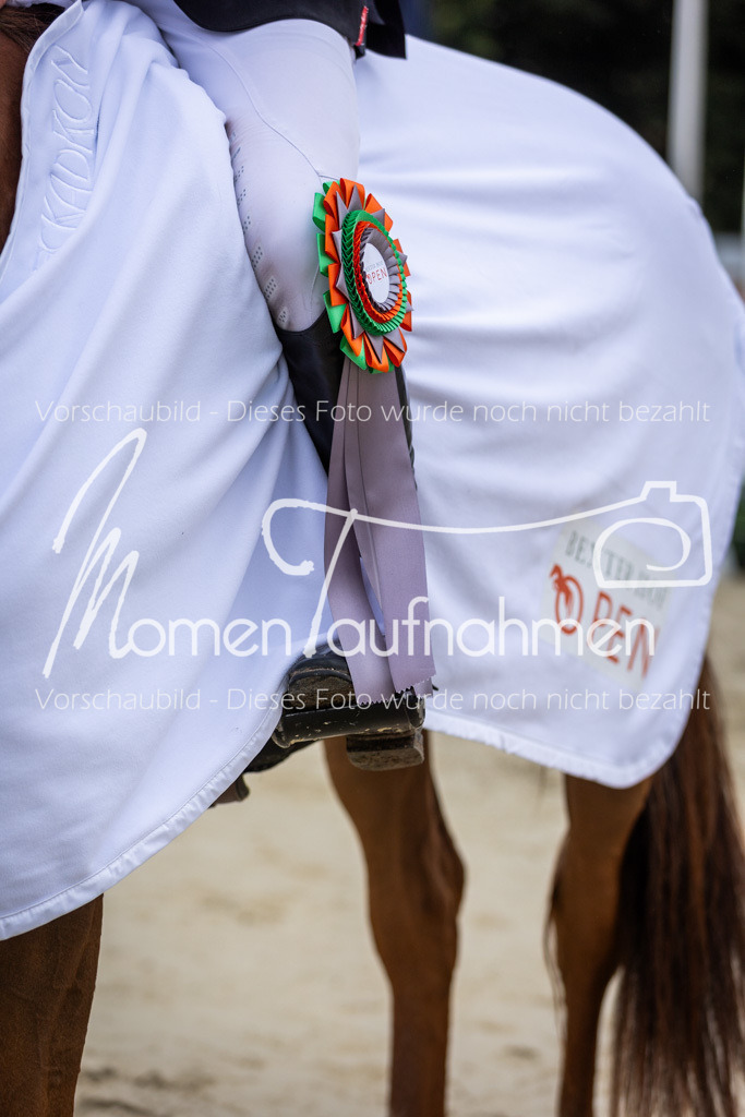 BHO-2PhSpr-M-379 | MomenTaufnahmen Pferdesportfotos