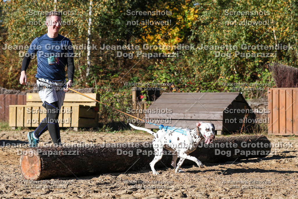 Dog Paparazzi - Strongdog 10-25-2099 | Dog Paparazzi Jeanette Grottendiek Fotografie & Videografie - Realisiert mit Pictrs.com