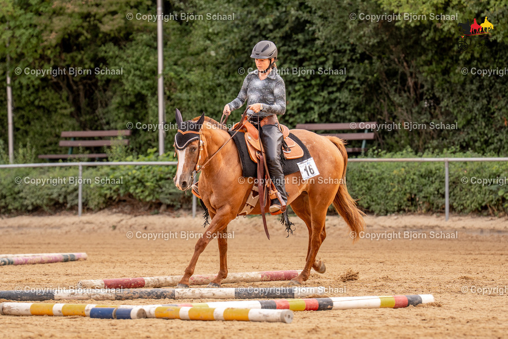 LMS07752 | BS-foto